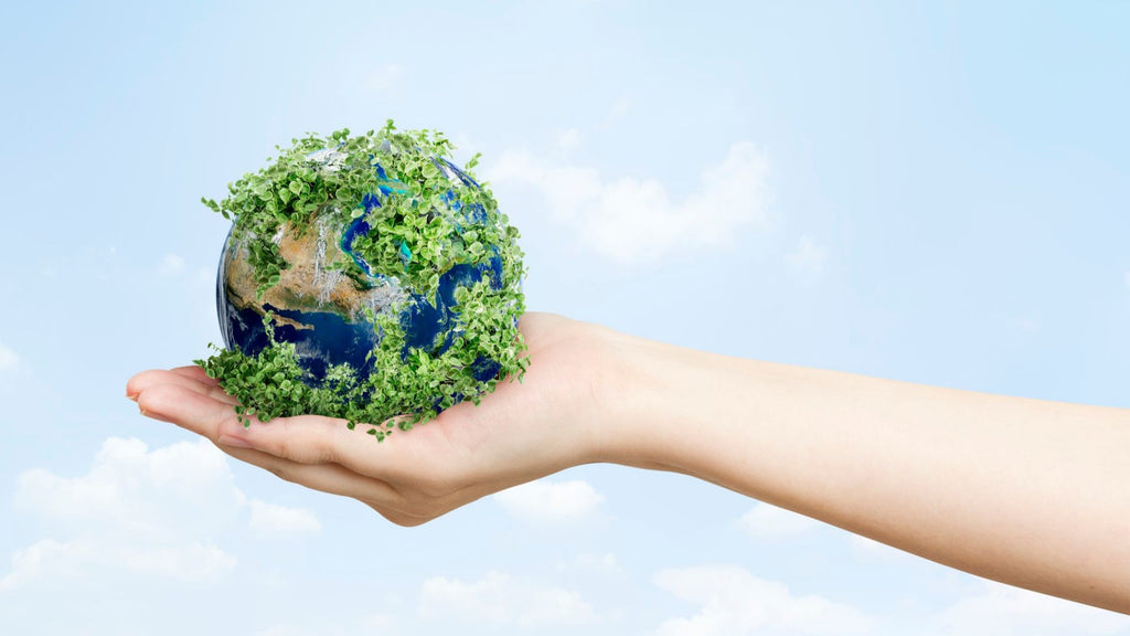 Designing for a Greener Planet: Exploring the Latest Furniture Design Trends