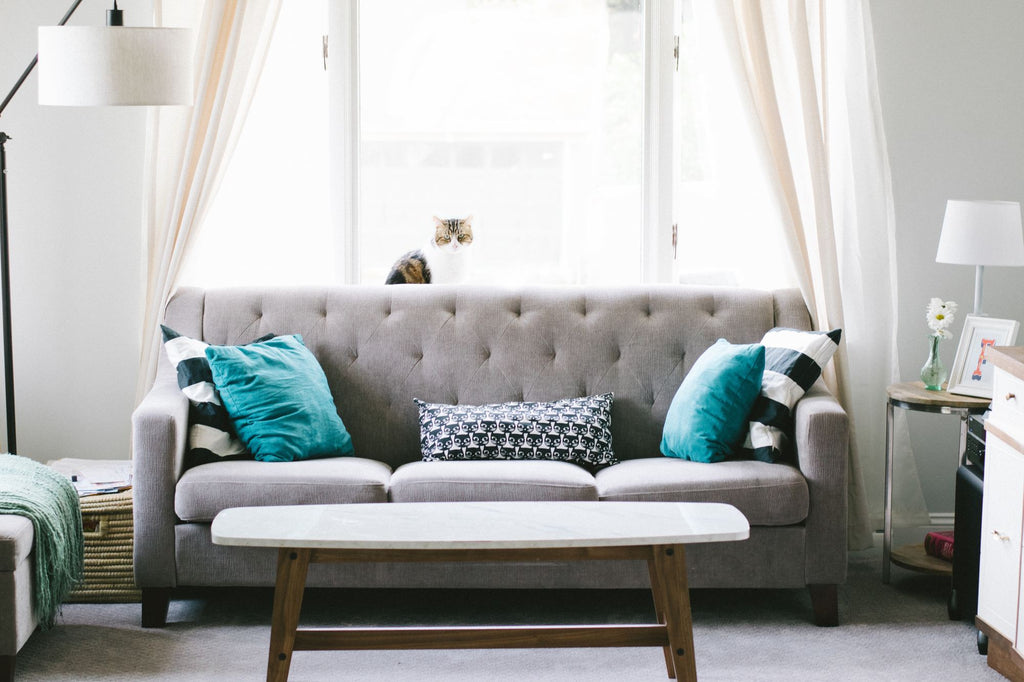 How To Find The Best Online Furniture Store