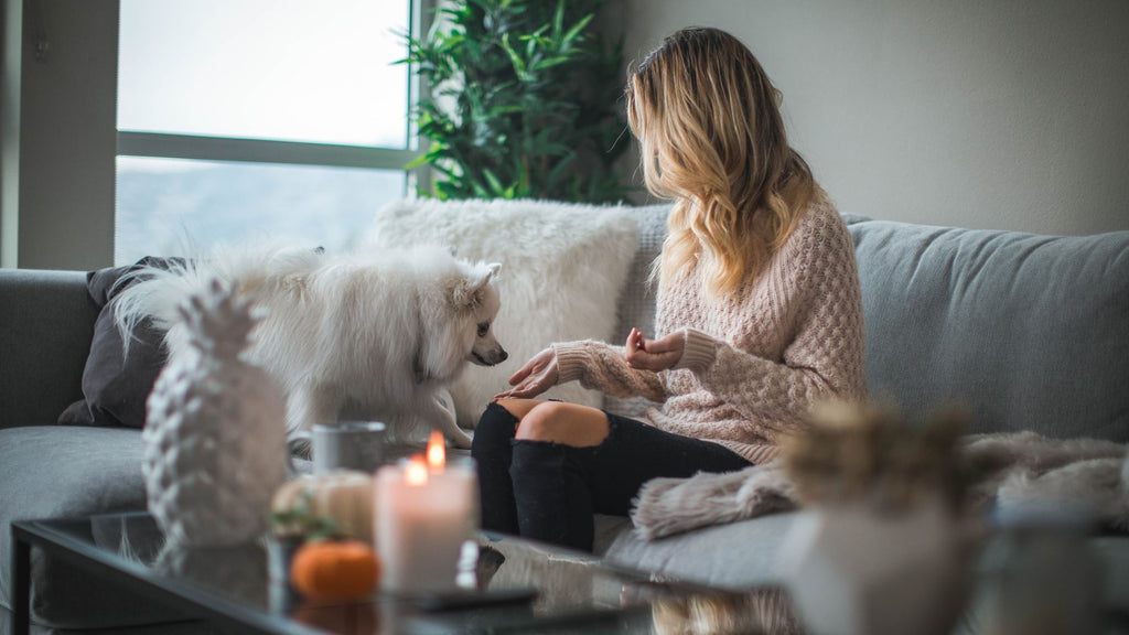 Serenity Unleashed: Discover the Top 10 Relaxing Candle Scents for Your Home