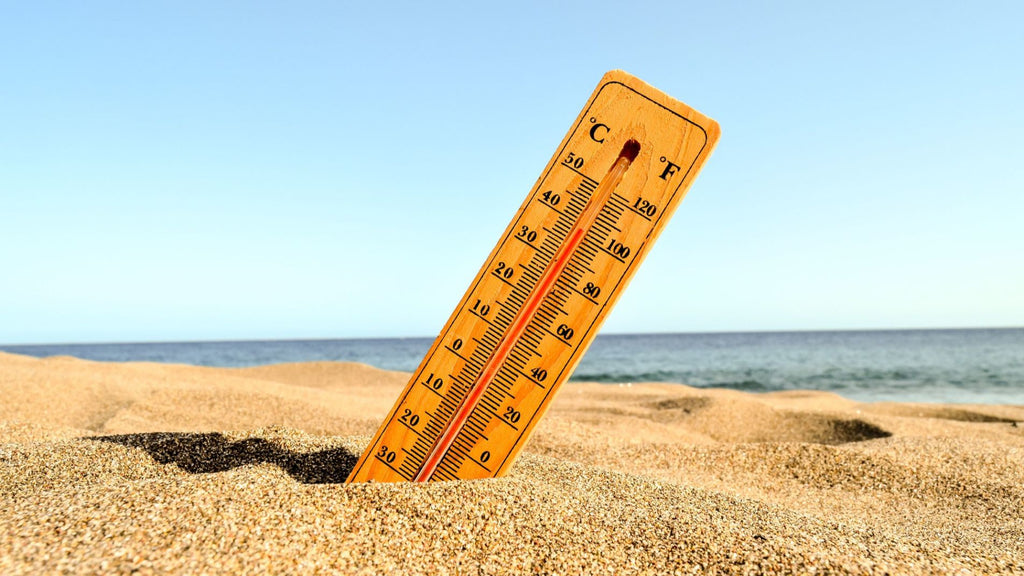 Sizzling Summer: How Hot Weather Can Affect Your Precious Furniture