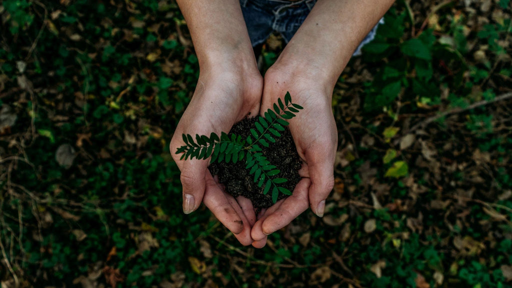 The Eco-Friendly Guide to Sustainable Furniture: Protecting Our Planet One Piece at a Time