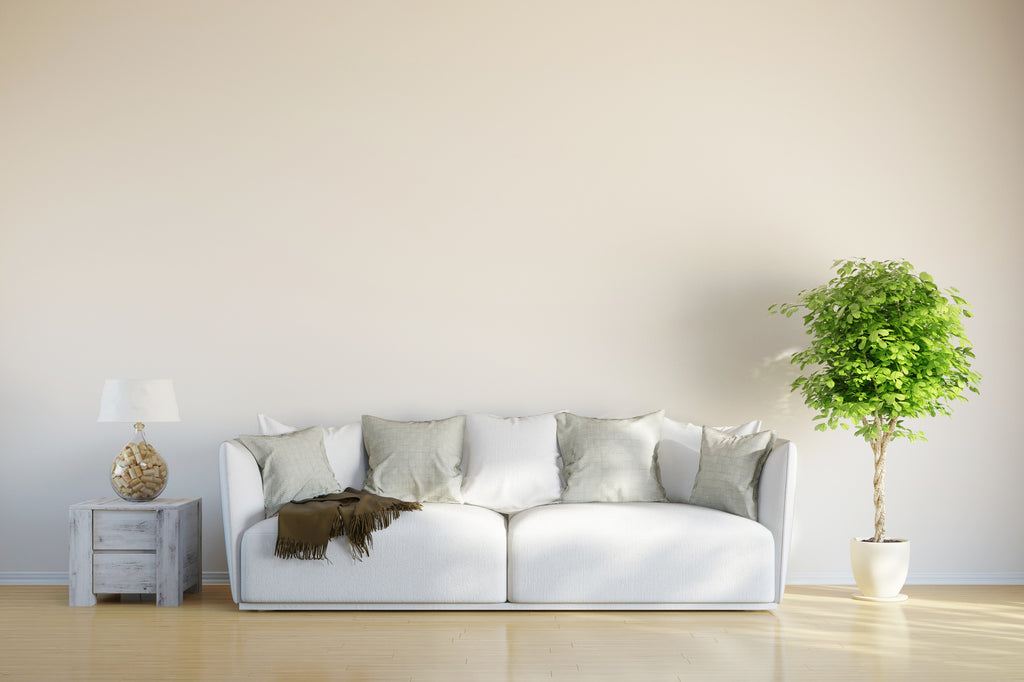 The Right Way to Clean Sofas